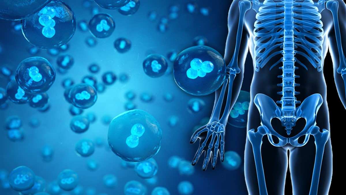 Dr. Aynur Çağlayan-Regenerativ tibb və İnvaziv həkim | Kök Hücreler İle Büyüme Faktörleri Arasındaki Farklar